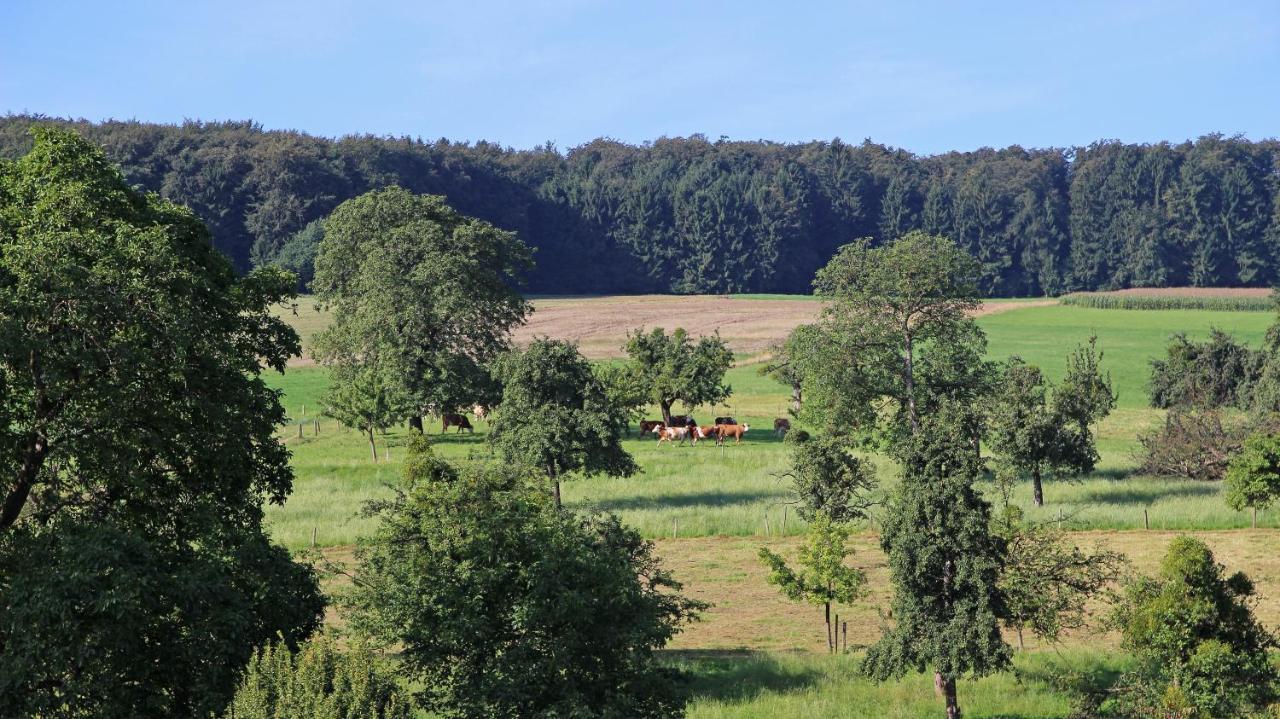 Ferienhof Knoll Lindenfels エクステリア 写真